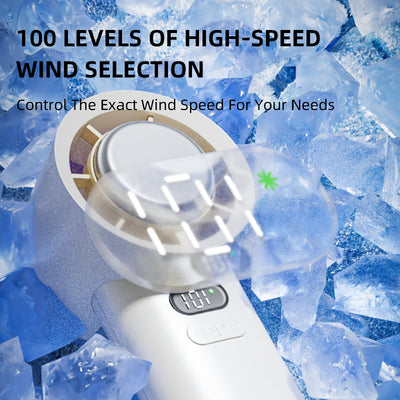 HANDHELD FAN