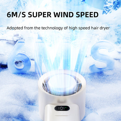 HANDHELD FAN